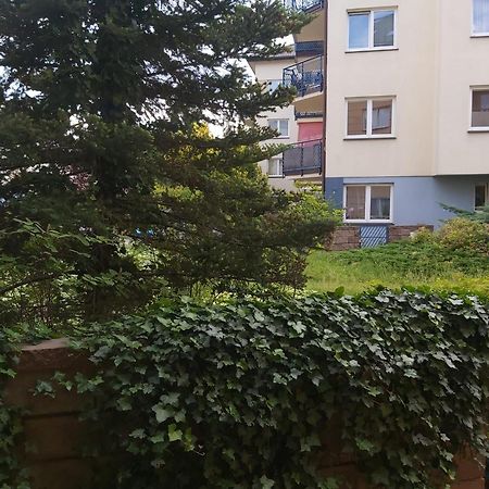 Apartament, 2 Pokoje, Stacja Metra Kabaty, Ursynow Varsovie Extérieur photo